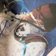 Jail inmate Bernard Scott spent 11 days in a coma and some three weeks in the hospital in 2014 after police in Pine Lawn, Mo., reportedly blocked him from being taken to the hospital.
Pine Lawn Jail